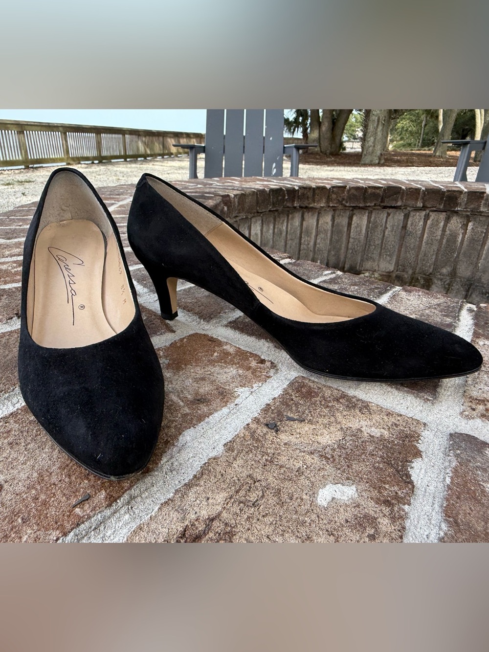 Caressa Black Suede Pointed-Toe Mid Heel Pumps - Women